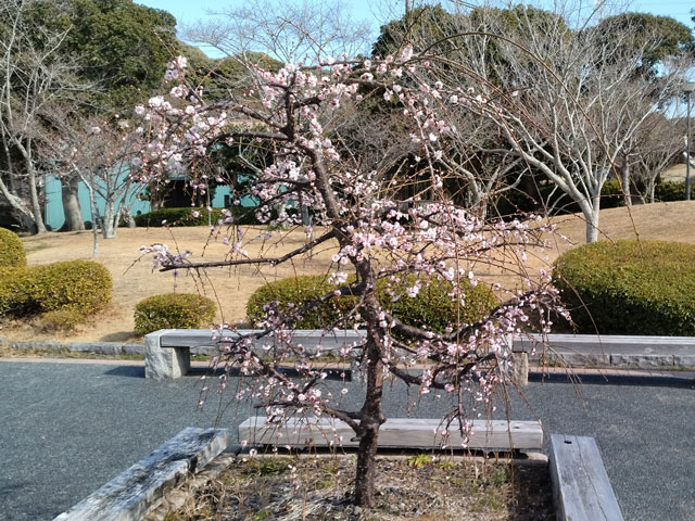 ばいく旅なかま