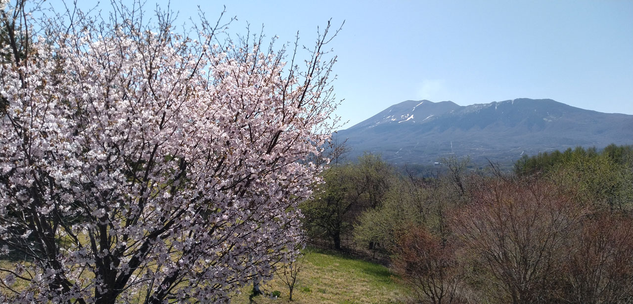 ばいく旅なかま