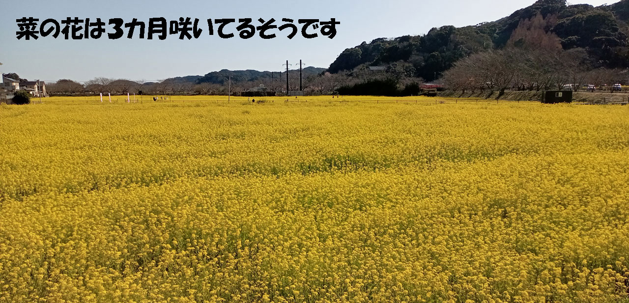 バイク仲間なかま