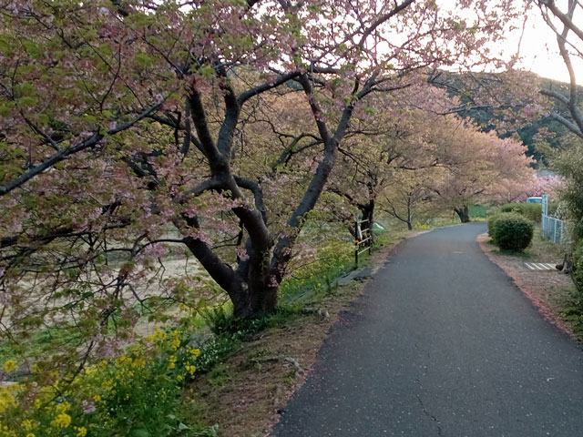 バイク仲間なかま