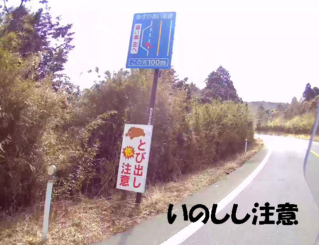 バイク仲間なかま