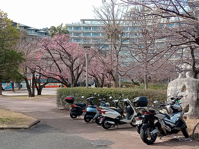 バイク仲間なかま