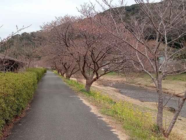 バイク仲間なかま