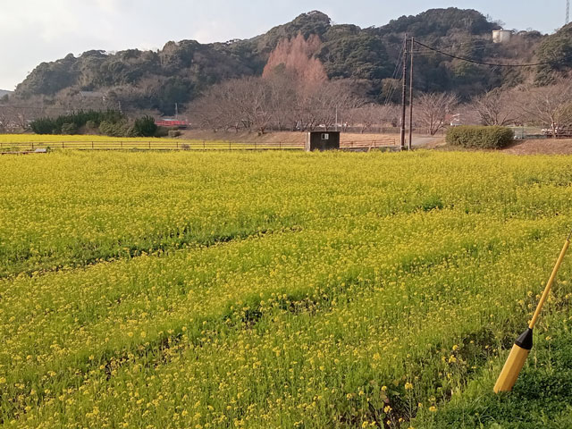 バイク仲間なかま