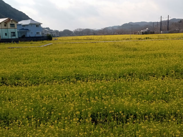 バイク仲間なかま