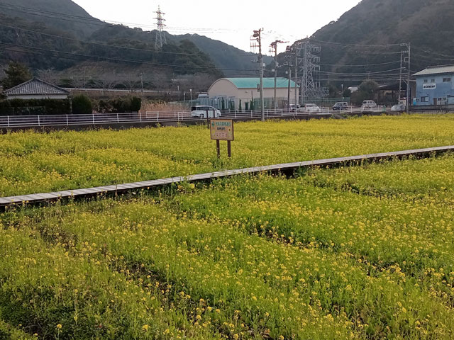 バイク仲間なかま