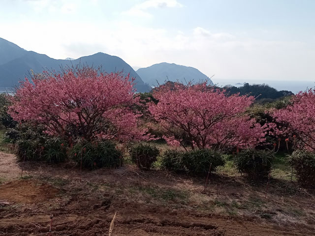 バイク仲間なかま