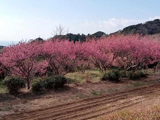 バイク仲間なかま