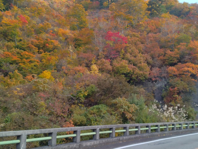 ばいく旅なかま