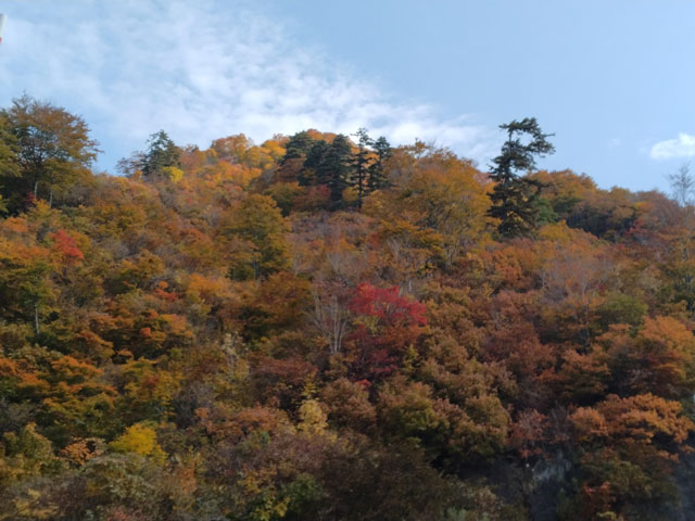 ばいく旅なかま