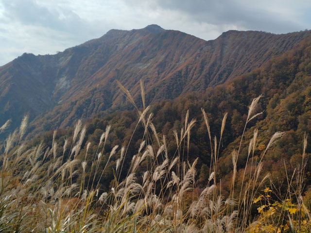 ばいく旅なかま