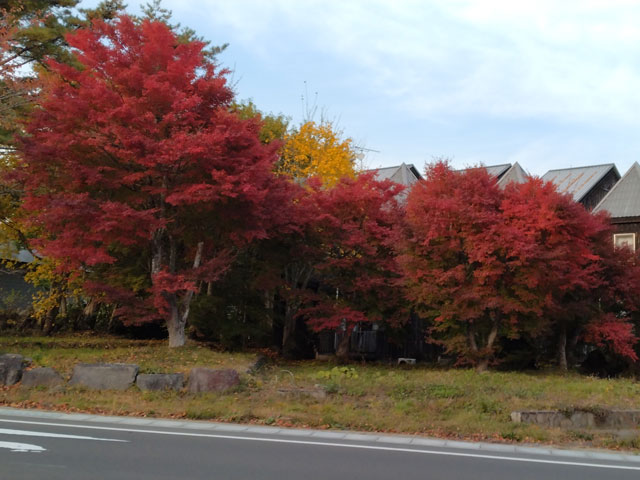 ばいく旅なかま