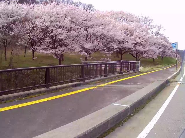 バイク仲間なかま