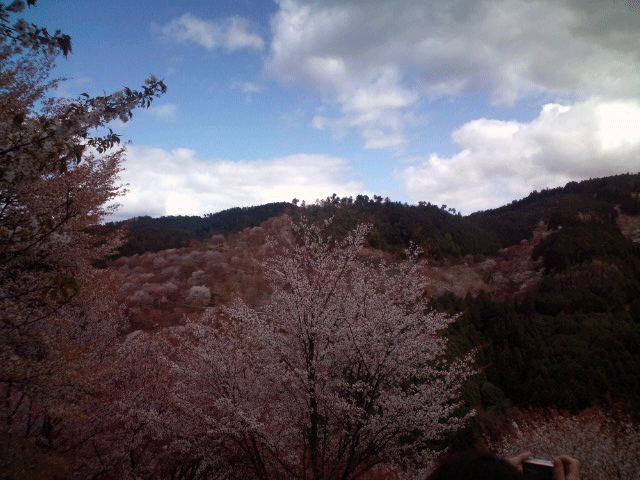 ばいく旅なかま