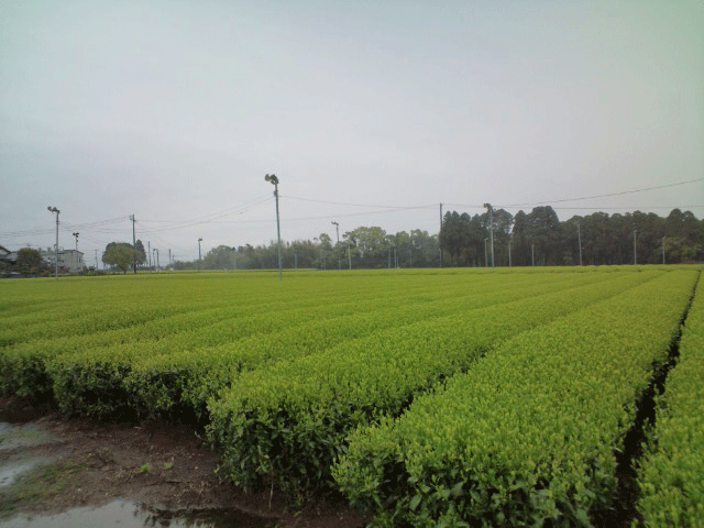 ばいく旅なかま