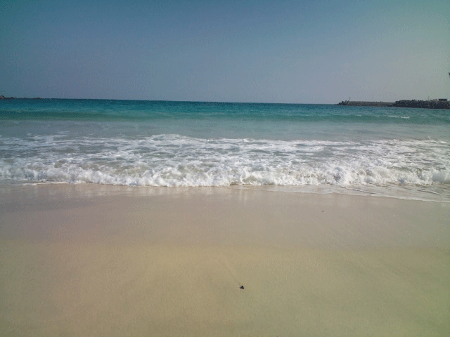 ばいく旅なかま